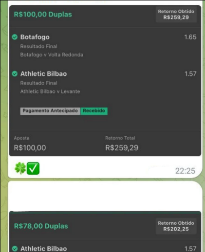 imagem_2025-05-30_021319098